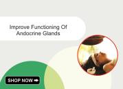 Improve Functioning Of Andocrine Glands DwarkeshAyuerved.com
